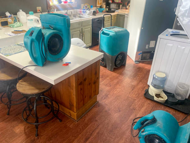 Best Water damage restoration cost  in Syosset, NY