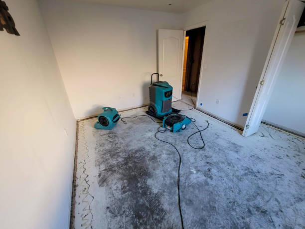 Best Water damage restoration near me  in Syosset, NY
