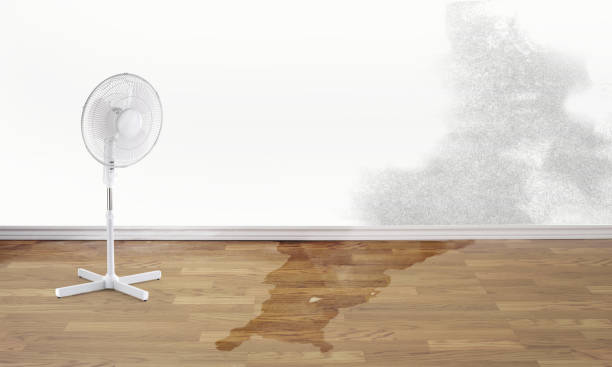 Best 24/7 water damage repair  in Syosset, NY