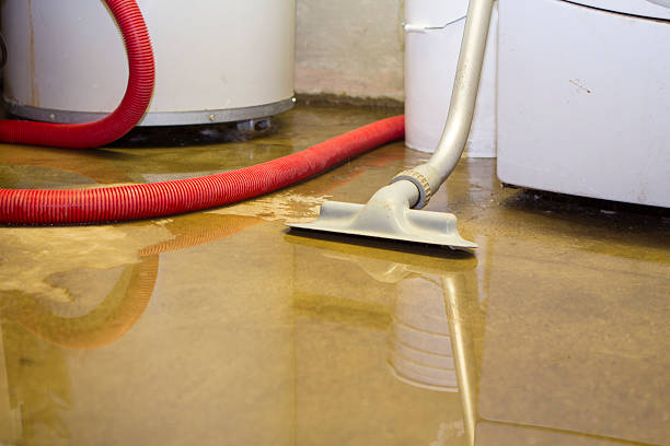 Trusted Syosset, NY Water damage restoration Experts